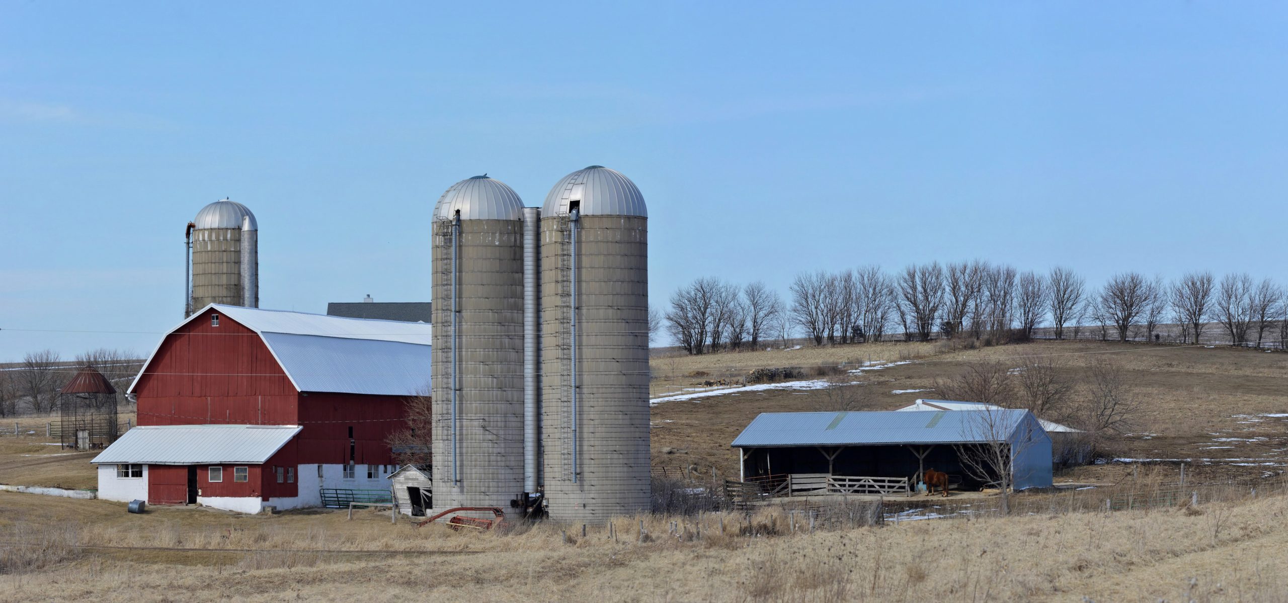 Build Back Better Means Stronger, More Resilient Family Farms in