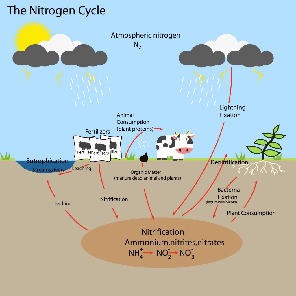 Protecting Drinking Water from Nitrate Pollution - Clean Wisconsin