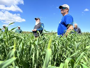 Grazing tour participants from right to left: Rick Puls, Bank of Prairie du Sac, Ron Schoepp, Schoepp Farms, and Dennis Hancock, Director of the USDA Dairy Forage Research Center in Prairie du Sac. 