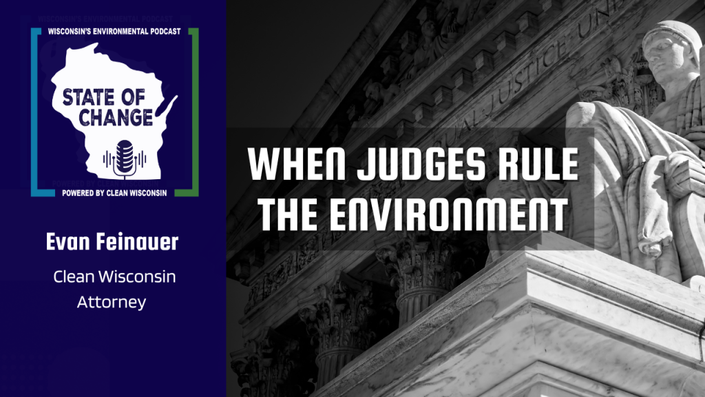 When judges rule the environment