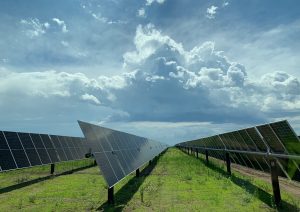 Large solar farm with new grass growing among panels and dramatic sun and clouds. Photo: Clean Wisconsin