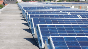 Rows of solar panels on a rooftop